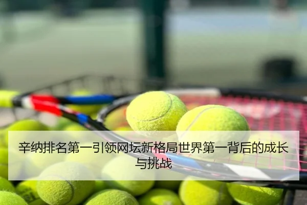 辛纳排名第一引领网坛新格局世界第一背后的成长与挑战