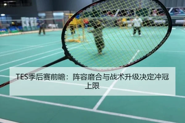 TES季后赛前瞻：阵容磨合与战术升级决定冲冠上限